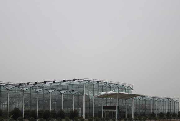 貴陽玻璃溫室大棚工程