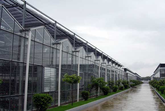 貴陽玻璃溫室大棚