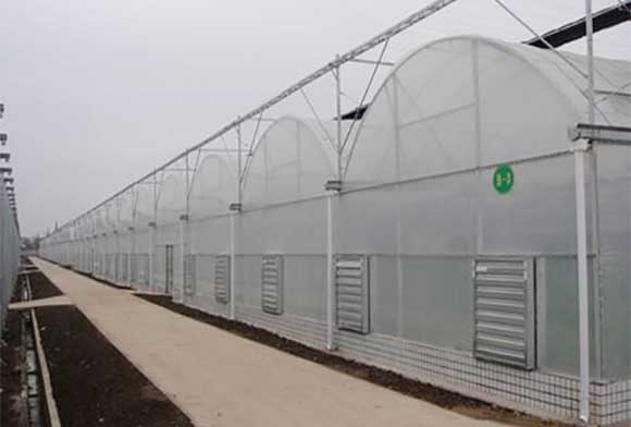 新型溫室大棚 新型溫室大棚