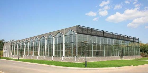 蔬菜溫室大棚如何選擇位置？