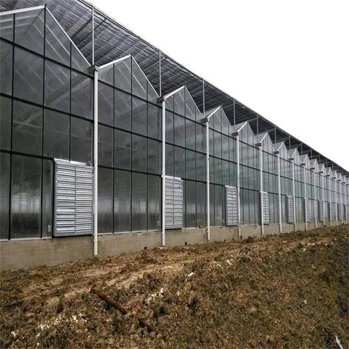 貴陽智能玻璃溫室大棚